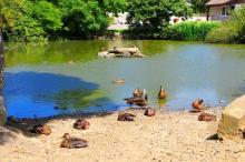 Duck Pool, Uisge Beatha, Zeilen, Watersport Duck Pool, Uisge Beatha, Zeilen, Watersport