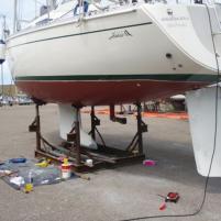 Antifouling-16