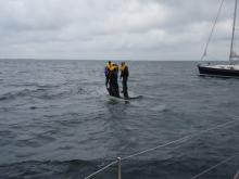 Valk op z'n kop, Uisge Beatha, Zeilen, Watersport Valk op z'n kop, Uisge Beatha, Zeilen, Watersport