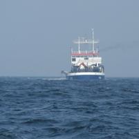 Herkingen-Ramsgate05