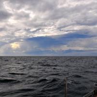 Granville-Jersey - 4