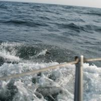 Herkingen-Ramsgate22