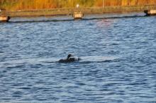 Intiem stel, Uisge Beatha, Zeilen, Watersport Intiem stel, Uisge Beatha, Zeilen, Watersport