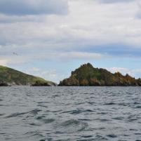 Exmouth-Dartmouth - 06