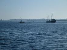 Ochtendgloren, Uisge Beatha, Zeilen, Watersport Ochtendgloren, Uisge Beatha, Zeilen, Watersport