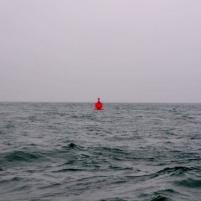 Littlehampton - BirdhamPool - 05