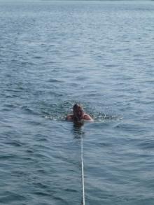 Waterrat, Uisge Beatha, Zeilen, Watersport Waterrat, Uisge Beatha, Zeilen, Watersport