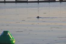 Uitzwaaien, Uisge Beatha, Zeilen, Watersport Uitzwaaien, Uisge Beatha, Zeilen, Watersport