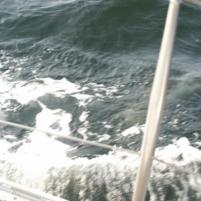 Herkingen-Ramsgate10