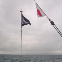 Littlehampton - BirdhamPool - 02