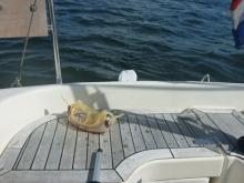 Zicht, Uisge Beatha, Zeilen, Watersport Zicht, Uisge Beatha, Zeilen, Watersport