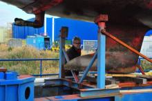 Weinig aangroei, Uisge Beatha, Zeilen, Watersport Weinig aangroei, Uisge Beatha, Zeilen, Watersport