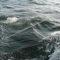 Herkingen-Ramsgate15