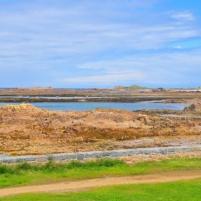 Guernsey - 12