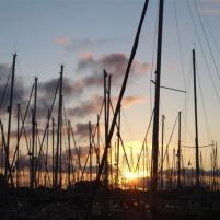 Bruinisse sept 08 007