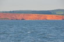 Red Cliff's of Devon, Uisge Beatha, Zeilen, Watersport Red Cliff's of Devon, Uisge Beatha, Zeilen, Watersport