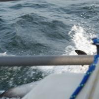 Herkingen-Ramsgate08