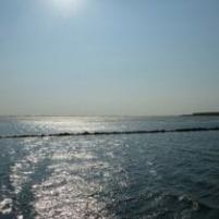 Havenontmoetingen