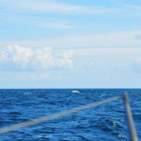 Dartmouth-Guernsey - 07