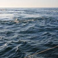 Lezardrieux-StQuayPortrieux - 15