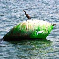 Lyme_Reges-Exmouth - 12