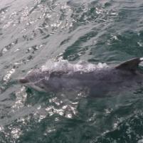 StVaast-GrandcampMaisy - 04