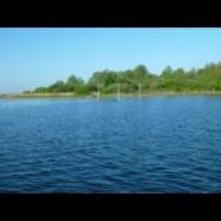 Geklus in Veere