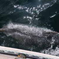 StVaast-GrandcampMaisy - 10