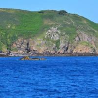 Guernsey - 21