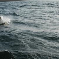 Herkingen-Ramsgate12