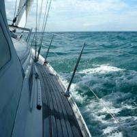 Blankenberge-Ramsgate - 10