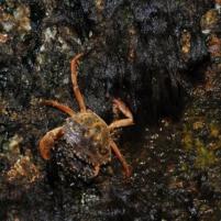 Ouistreham-Deauville - 03