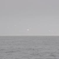 Carteret-Dielette - 06