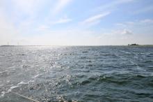 Oosterschelde, Uisge Beatha, Zeilen, Watersport Oosterschelde, Uisge Beatha, Zeilen, Watersport